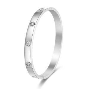 6mm 60mm Silver Stainless Steel CZ Bangle Wholesale