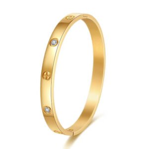 6mm 60mm Gold Stainless Steel CZ Bangle Wholesale