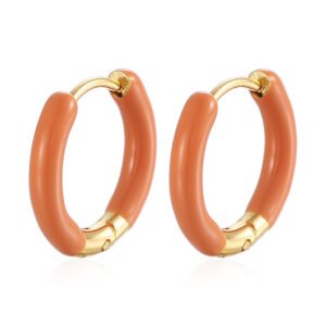 Stainless Steel Enamel Earrings Style DMEH0066 Wholesale product image