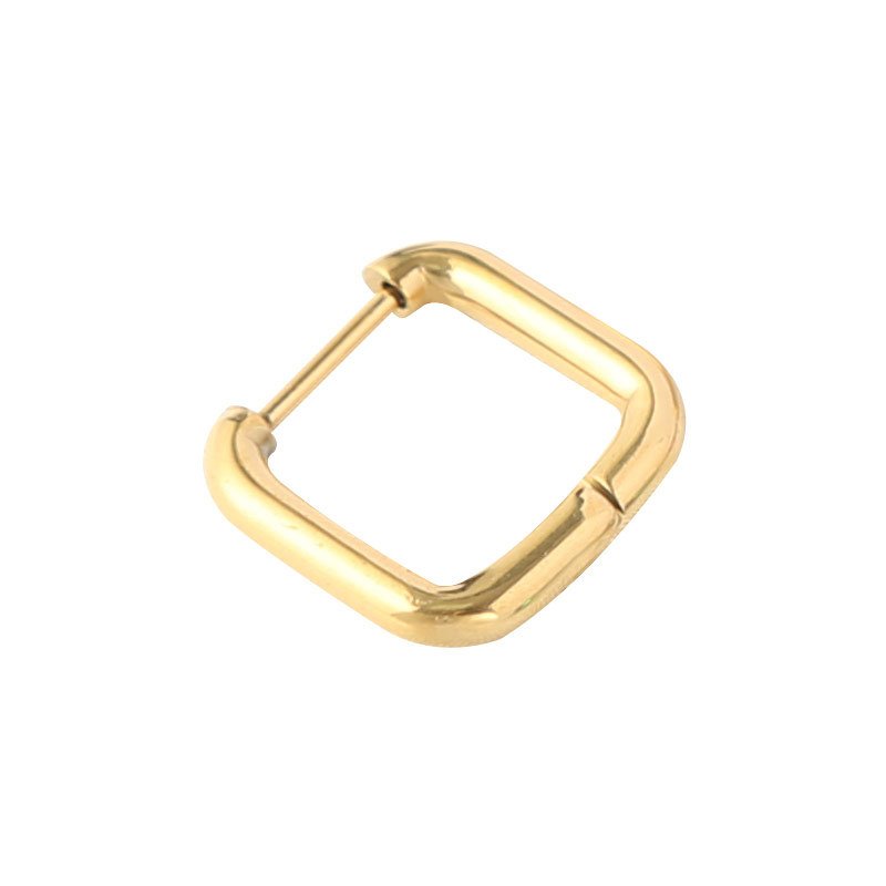 Stainless Steel Earrings Style DMEH0096 Wholesale product image