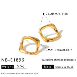 Stainless Steel Irregular Earrings Style DM5030089 Wholesale product image