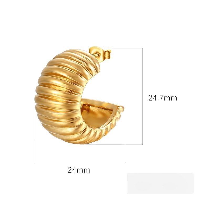 Stainless Steel Earrings Style DMEH0141 Wholesale product image