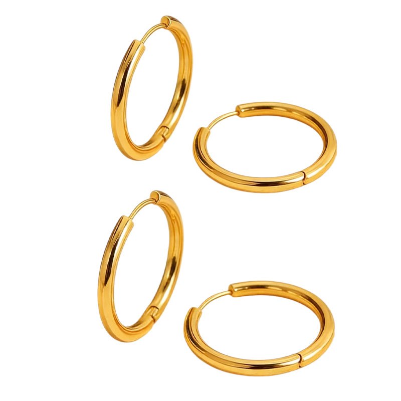 Stainless Steel Earrings Style DMEH0021 Wholesale product image