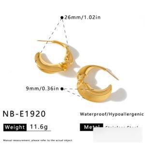Stainless Steel Irregular Minimalist Earrings Style DM5030204 Wholesale product image