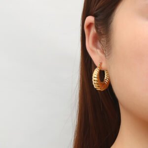 Stainless Steel Earrings Style DMEH0049 Wholesale product image