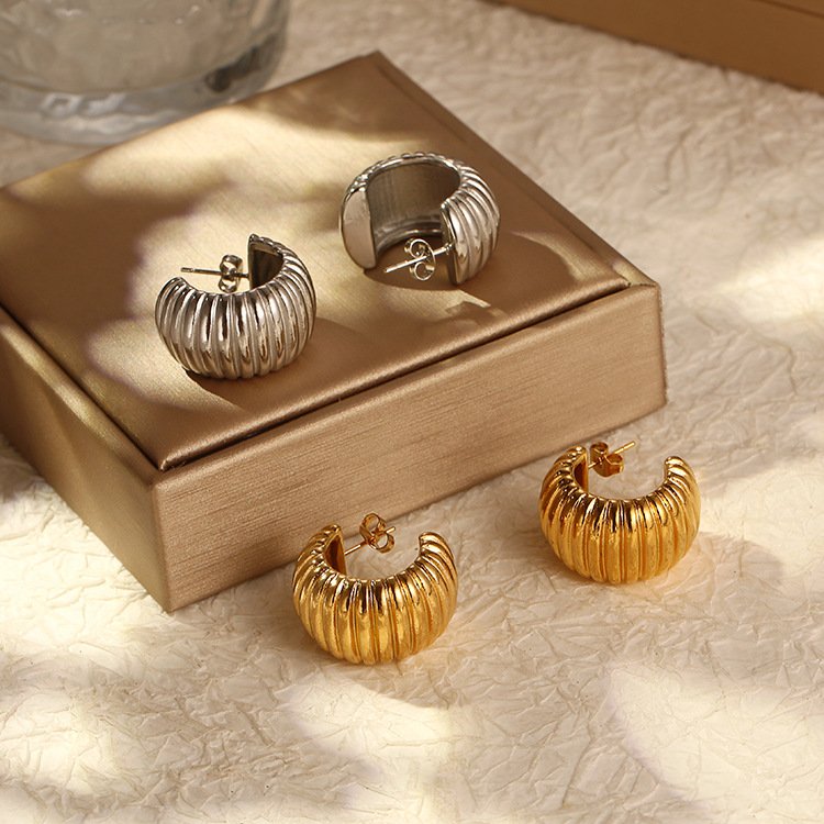 Stainless Steel Earrings Style DMEH0141 Wholesale product image
