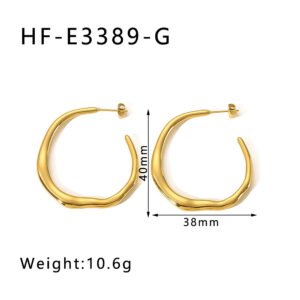 Stainless Steel Irregular Minimalist Earrings Style DM5030186 Wholesale product image
