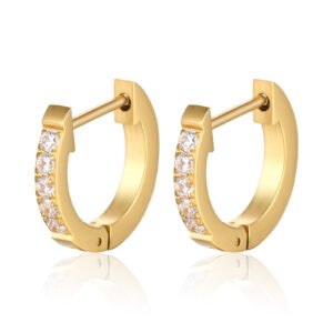 Stainless Steel CZ Earrings Style DMEH0035 Wholesale product image