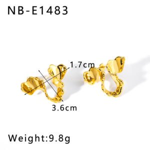 Stainless Steel Geometric Irregular Earrings Style DM5030170 Wholesale product image